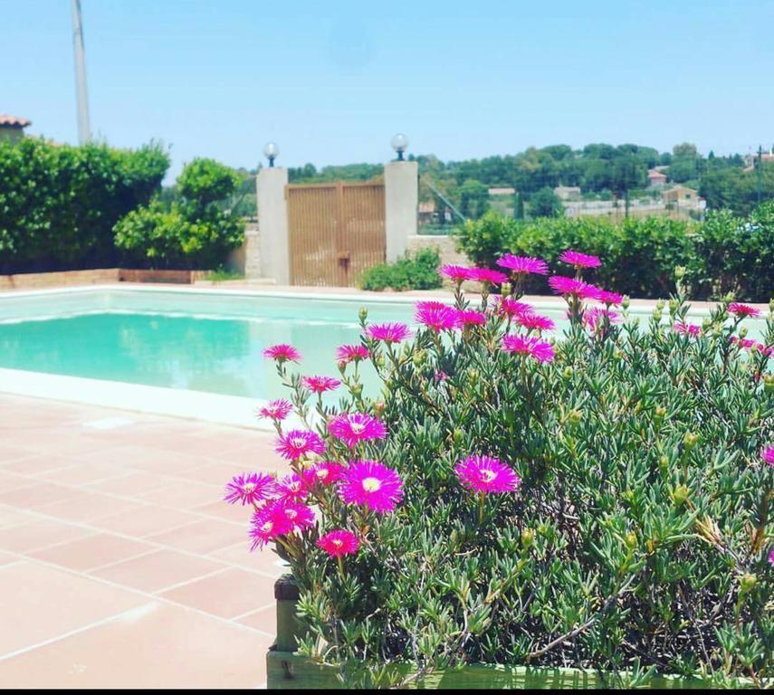 Locanda Rurale Santa Marta Avola Luaran gambar